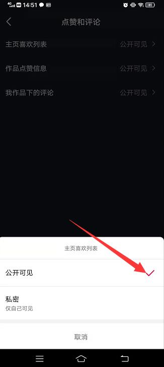 抖音怎么开启喜欢让人看