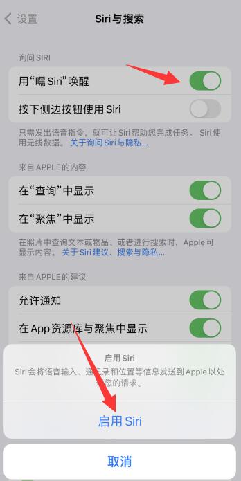 iPhone12怎么设置siri一喊就出来