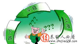 猪周期不灵了 猪周期波动