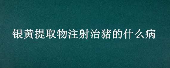 银黄提取物注射治猪的什么病 银黄提取物的功效与作用兽用