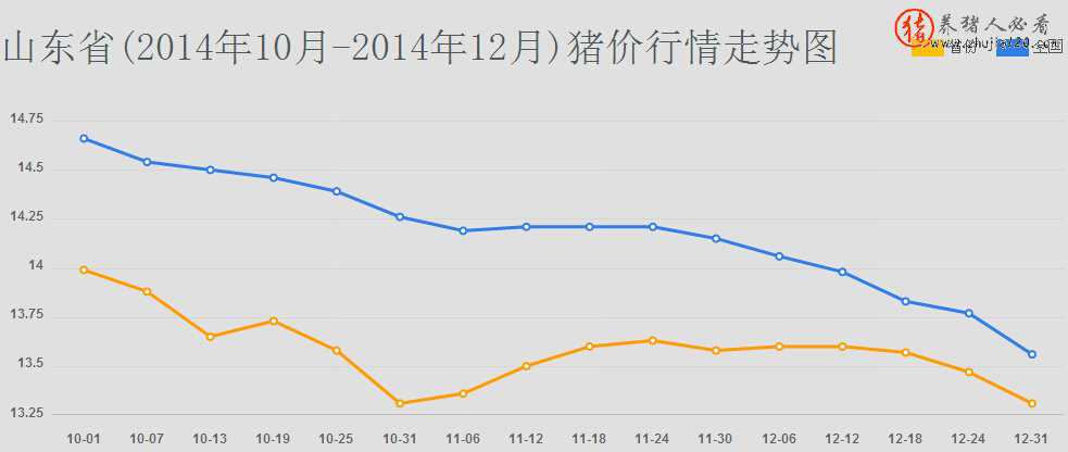 山东省（山东省高考缴费）