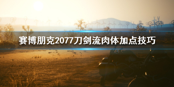 赛博朋克2077刀剑流肉体怎么加点 赛博朋克刀剑流派加点