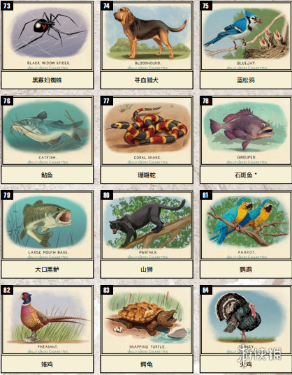 荒野大镖客2全香烟卡图鉴一览 荒野大镖客2香烟卡有哪些 名震黑白_网