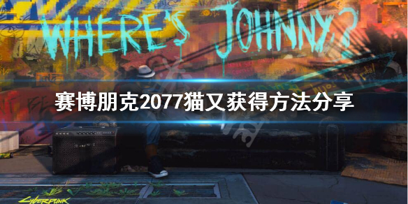 2077猫又怎么获得 2077猫怎么养