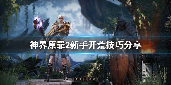 神界原罪2新手开局要注意什么 神界原罪2刚开始怎么玩