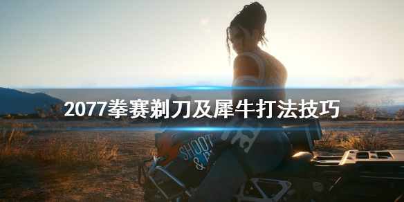 赛博朋克2077拳赛犀牛怎么打 2077拳击犀牛