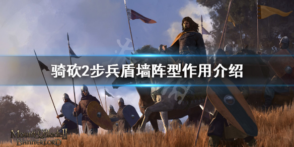 骑马与砍杀2盾墙阵型好用吗（骑马与砍杀2盾兵最强）