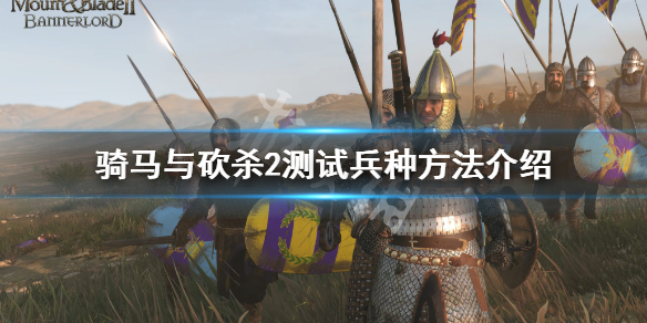 骑马与砍杀2测试兵种方法介绍（骑马与砍杀2兵种数据表）