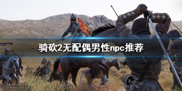 骑马与砍杀2什么无配偶的男性npc好（骑马与砍杀2最佳男对象）
