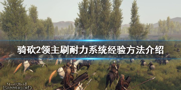 骑马与砍杀2耐力有什么用（骑马与砍杀2力量）