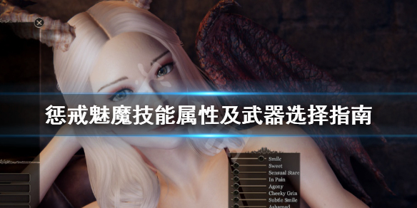 惩戒魅魔武器选择什么好(惩戒魅魔武器装备表)