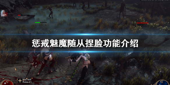 惩戒魅魔随从怎么捏脸（惩戒魅魔捏脸数据放哪里）
