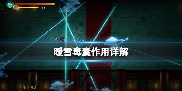 暖雪毒囊有什么用 暖雪儿暖贴的价格