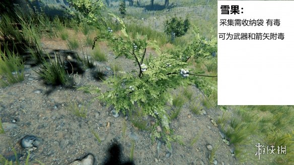 森林游戏植物有什么 the forest植物图鉴分享