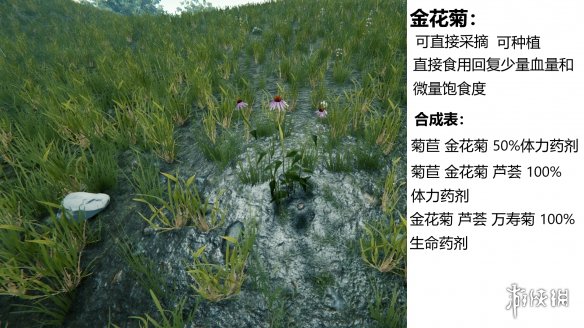 森林游戏植物有什么 the forest植物图鉴分享