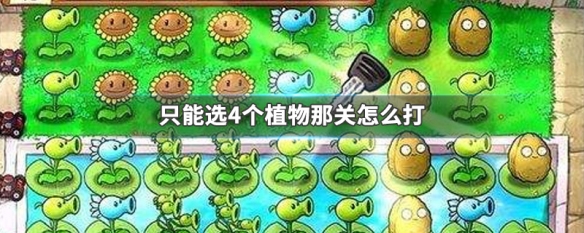 只能选4个植物那关怎么打 如果只能选三个东西