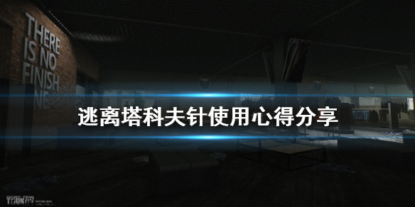 逃离塔科夫针有什么用（逃离塔科夫什么针能一直跑）