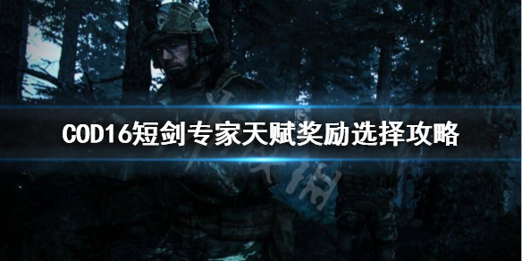 使命召唤16短剑专家天赋奖励怎么选 cod16短剑配件等级