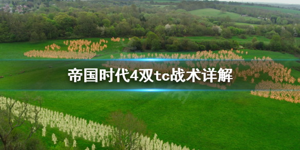 帝国时代4双tc战术好用吗 帝国时代4对战