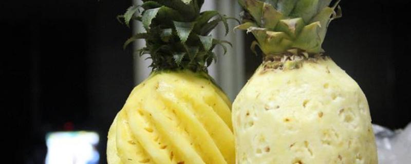 菠萝和凤梨有什么区别是什么 菠萝和凤梨还傻傻分不清,到底有什么区别