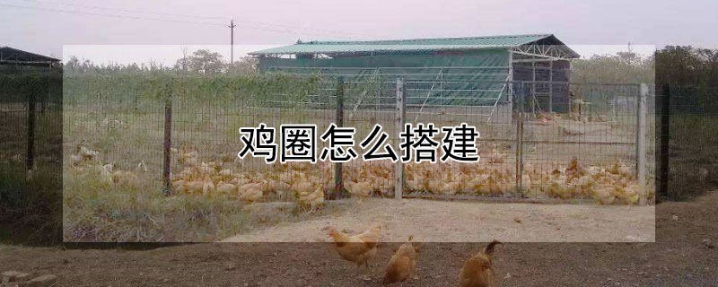 鸡圈怎么搭建（农村鸡圈怎么搭建）