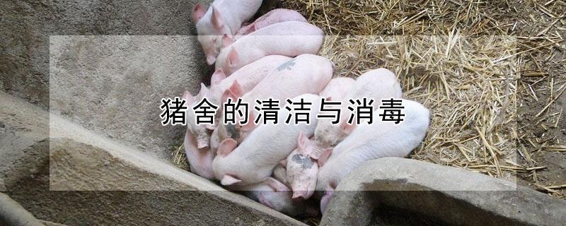 猪舍的清洁与消毒 猪舍的清洁与消毒有关吗