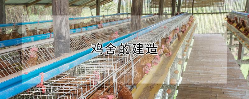 鸡舍的建造（鸡舍的建造图片）