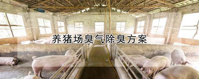 养猪场臭气除臭方案（生物除臭系统设备）
