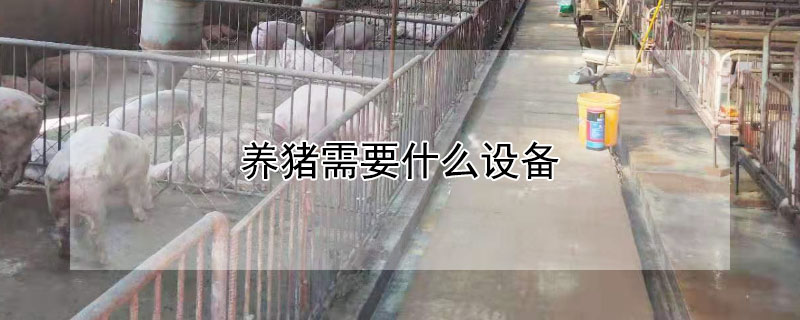 养猪需要什么设备（养猪需要什么设备多少钱）
