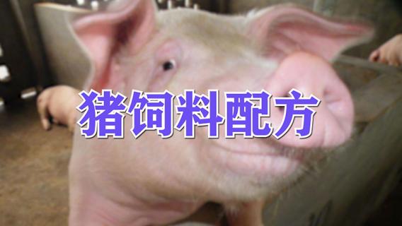 猪饲料配方 猪饲料配方设计