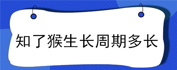 知了猴生长周期多长（知了猴生长期多长时间）