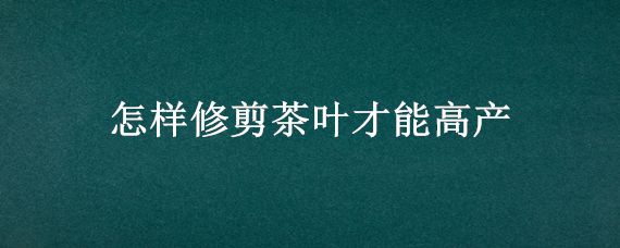 怎样修剪茶叶才能高产 如何修剪茶叶才能产量提高