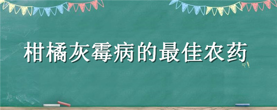 柑橘灰霉病的最佳农药（灰霉病复配的最佳配方）