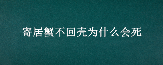 寄居蟹不回壳为什么会死 寄居蟹不回壳为什么会死呢