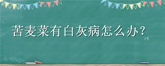 苦麦菜有白灰病怎么办 苦麦菜叶子长白灰是怎么办