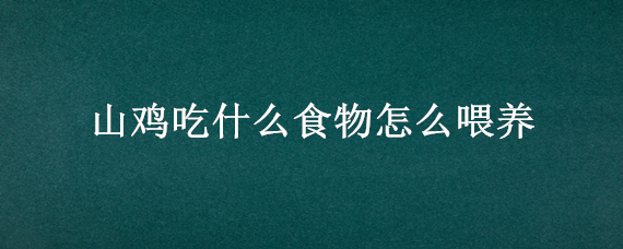 山鸡吃什么食物怎么喂养 山鸡吃什么饲料