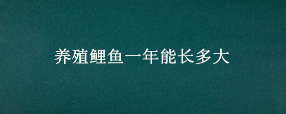 养殖鲤鱼一年能长多大 鲤鱼鱼一年能长多大