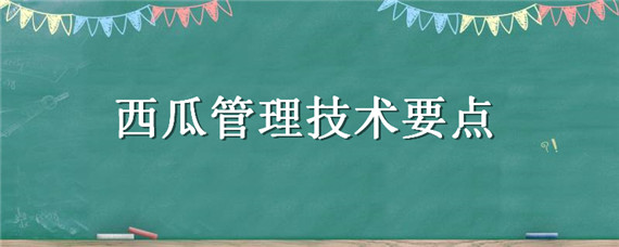 西瓜管理技术要点 西瓜的日常管理技术要求