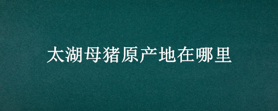 太湖母猪原产地在哪里（原种太湖母猪产地）