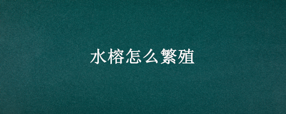 水榕怎么繁殖 水榕怎么繁殖视频