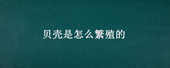 贝壳是怎么繁殖的 贝壳是怎么繁殖的图片