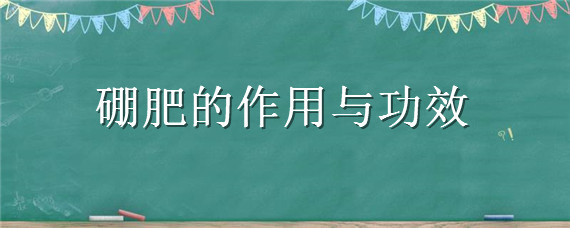 硼肥的作用与功效（速溶硼肥的作用与功效）