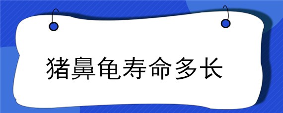 猪鼻龟寿命多长 猪鼻龟腐皮最有效方法