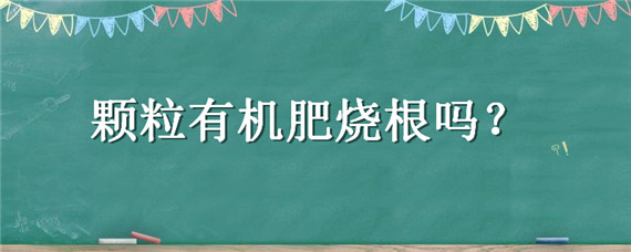 颗粒有机肥烧根吗 颗粒有机肥烧根吗怎么处理