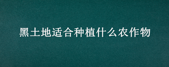 黑土地适合种植什么农作物（黑土地种什么最赚钱）