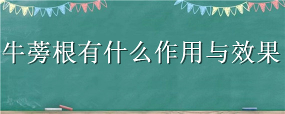 牛蒡根有什么作用与效果 牛蒡根有什么作用与效果图片