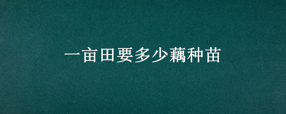 一亩田要多少藕种苗（莲藕种苗哪里有卖）