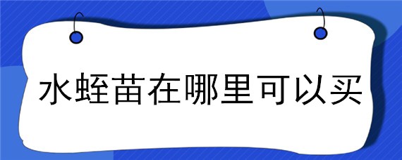 水蛭苗在哪里可以买 哪里有水蛭种苗出售