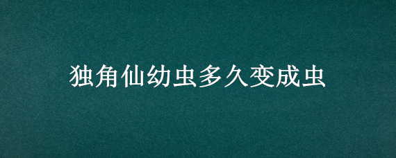 独角仙幼虫多久变成虫 独角仙幼虫要多久才能变成成虫