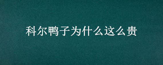 科尔鸭子为什么这么贵（科尔鸭缺点）